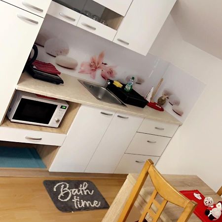 Apartments And Wellness Scavnicar Ljutomer Buitenkant foto